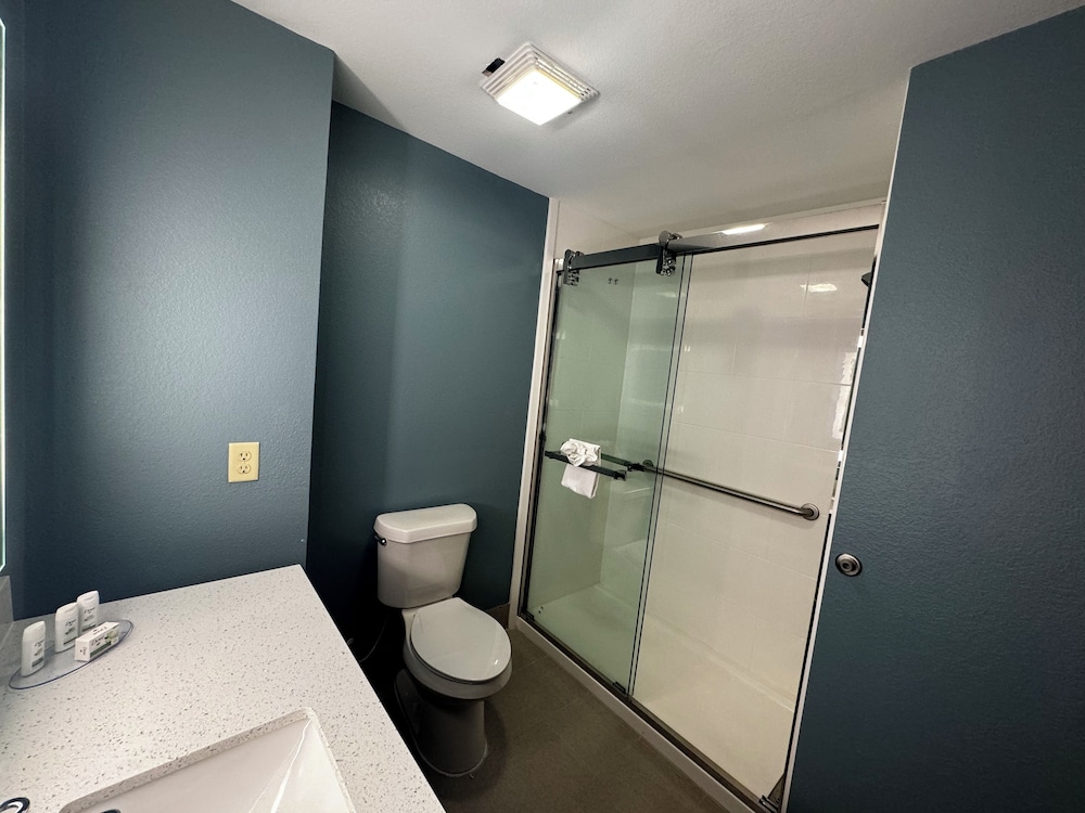 Suite, 1 King Bed, Non Smoking, Kitchenette - Photo 4