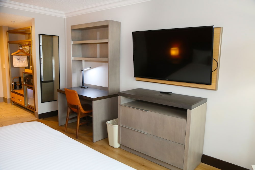 Deluxe Single Room, Non Smoking - Photo 13