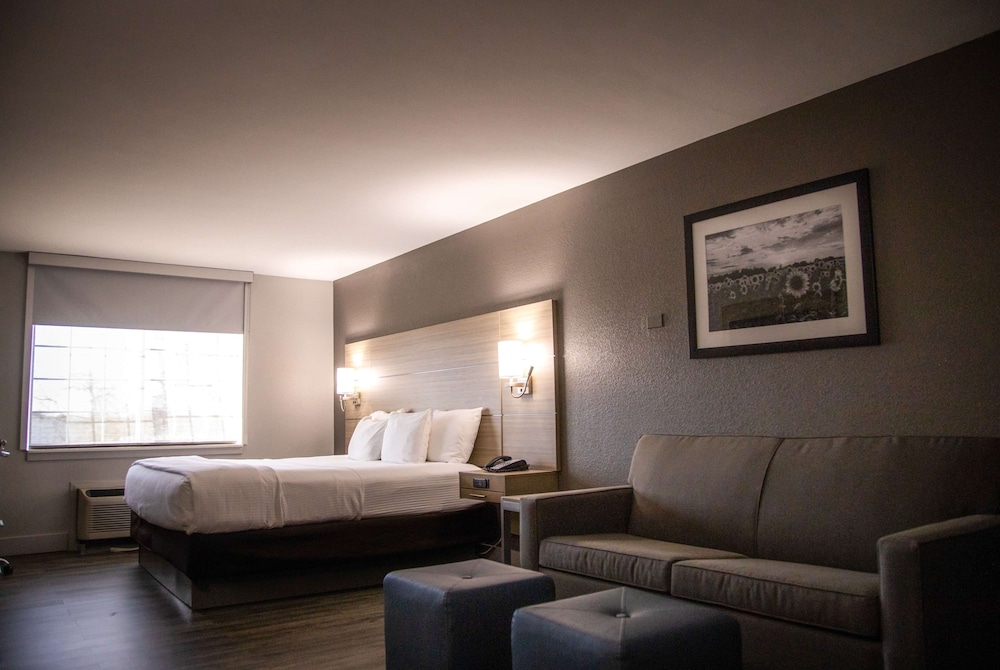 1 King Bed, Studio, Sofa Bed, Non-Smoking - Photo 1