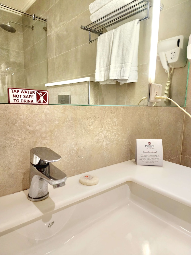 Premier Suite, 1 King Bed, Non Smoking, City View (with Extra Bed) - Photo 13