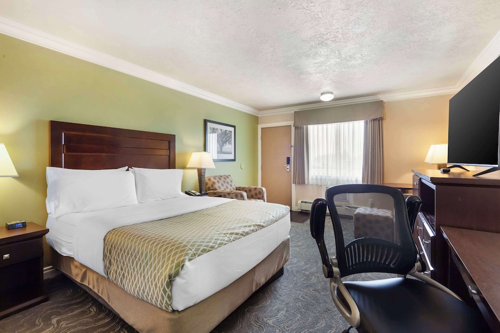 Standard Room, 1 Queen Bed, Non Smoking, Refrigerator & Microwave (Pet Friendly) - Photo 1