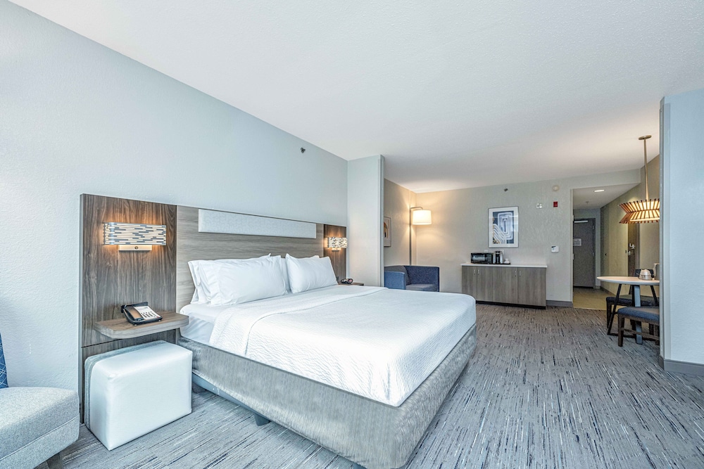 Suite, 1 King Bed, Accessible (Communications, Roll-In Shower) - Photo 4