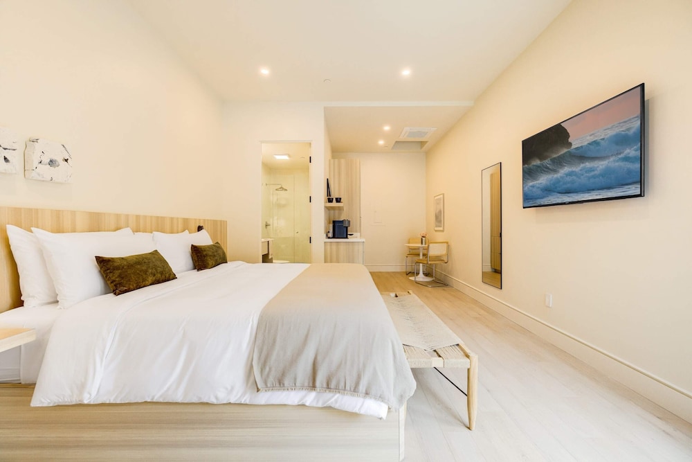 Premier Apartment, 1 King Bed photo 1