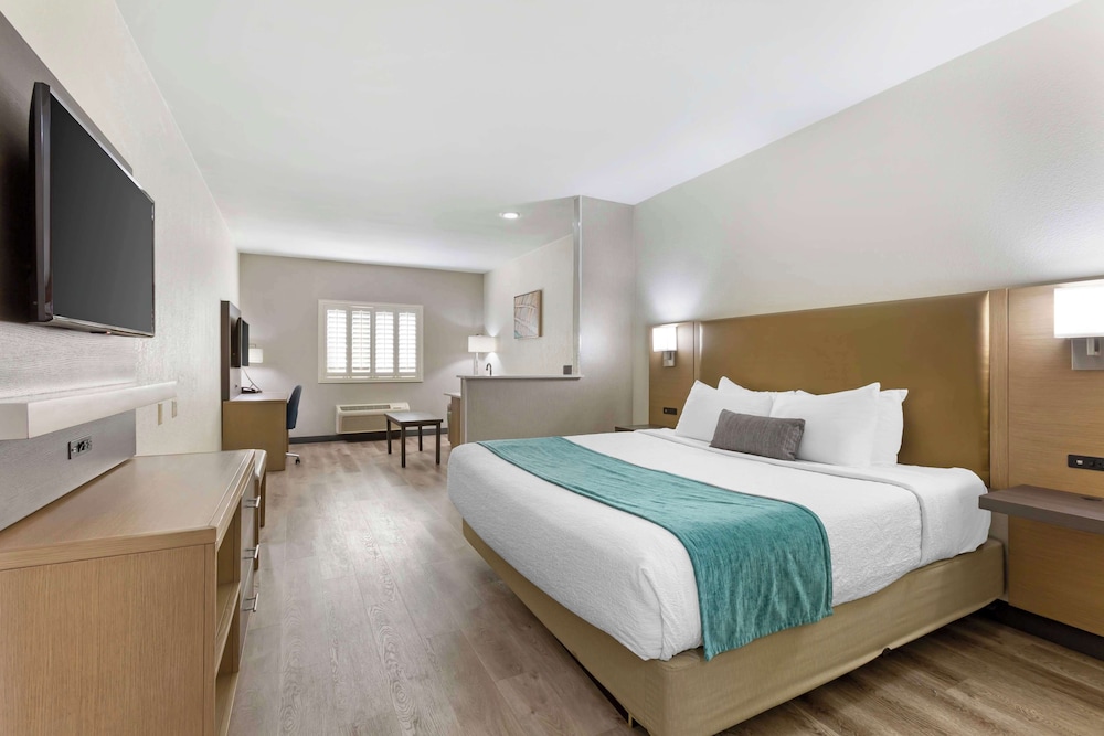 Standard Room, 1 King Bed, Non Smoking, Refrigerator & Microwave (with Sofabed) - Photo 2