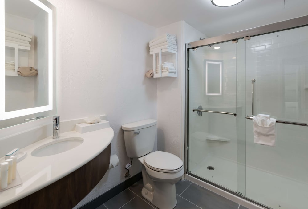 Suite, 1 King Bed, Accessible, Non Smoking - Photo 4