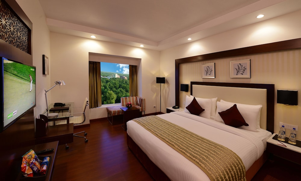 Suite, City View
