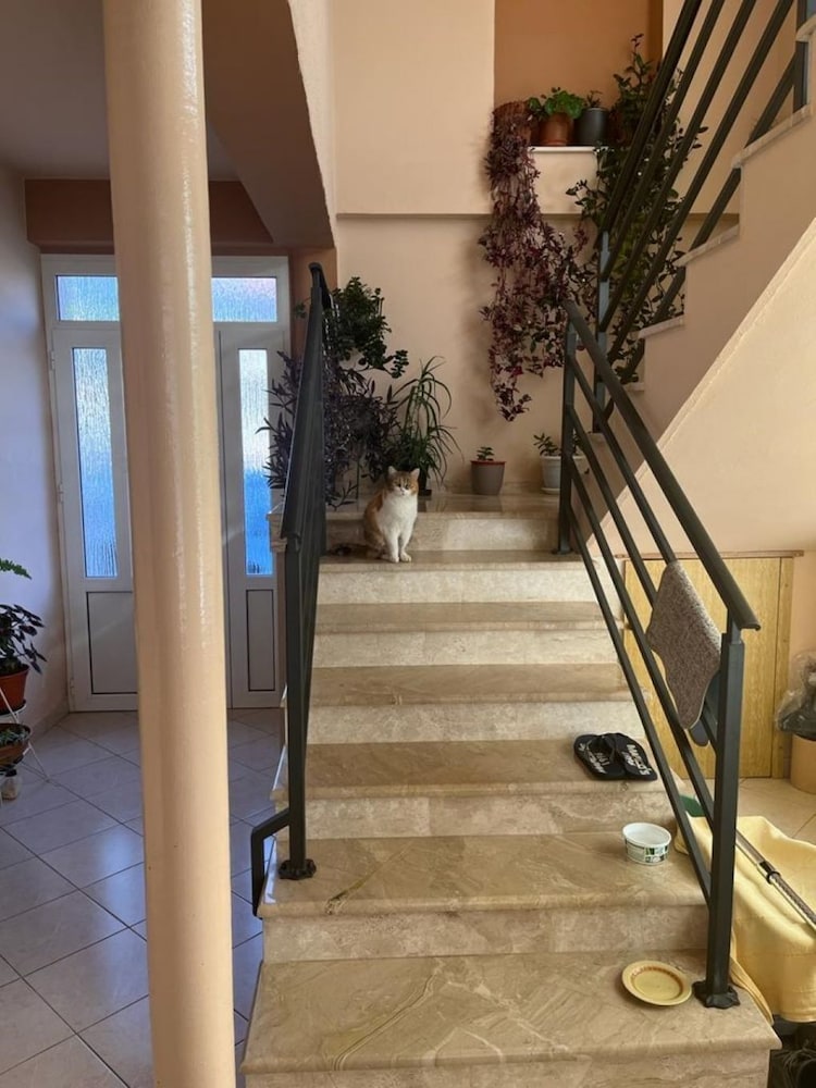 Apartment (Kate - free parking - A3 Srednji (2+2)