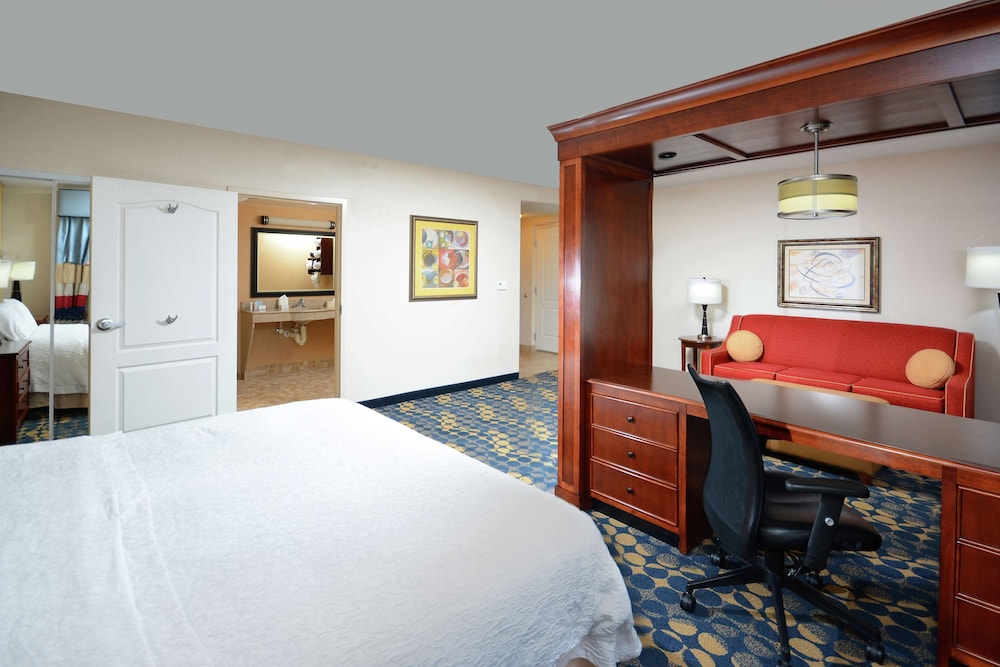 Studio, 1 King Bed, Accessible (Mobility & Hearing, Roll-in Shower) - Photo 2
