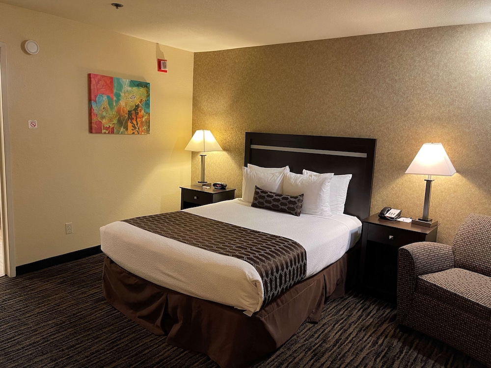 Standard Room, 1 Queen Bed, Accessible, Non Smoking - Photo 1