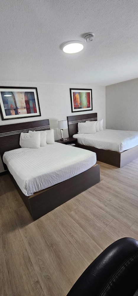 Family Triple Room photo 1