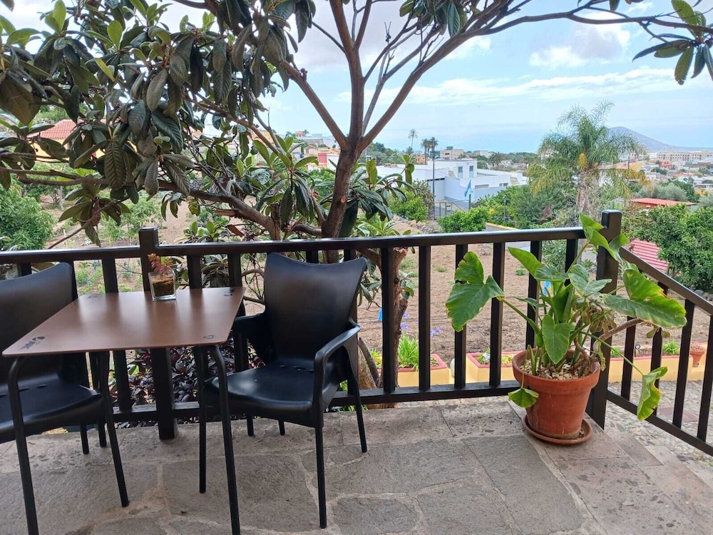 Family Room, Terrace, Garden View (Almendra) photo 3