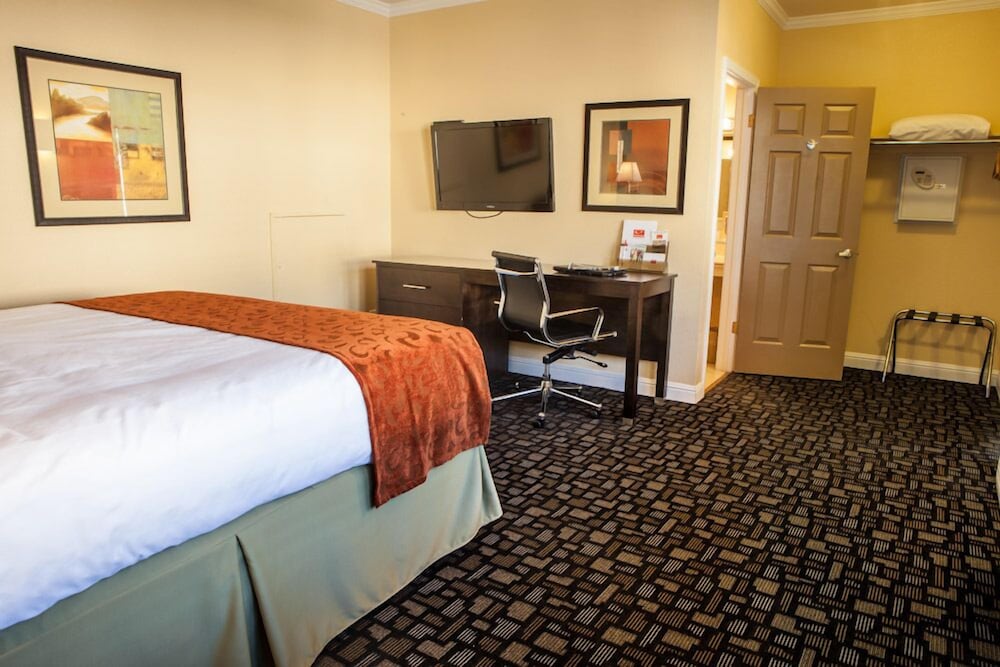Executive Suite, 1 King Bed photo 2