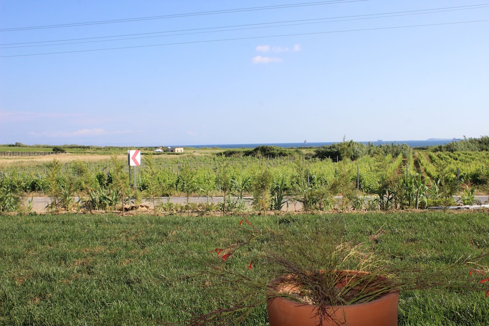 Standard Double Room, Garden View photo 2