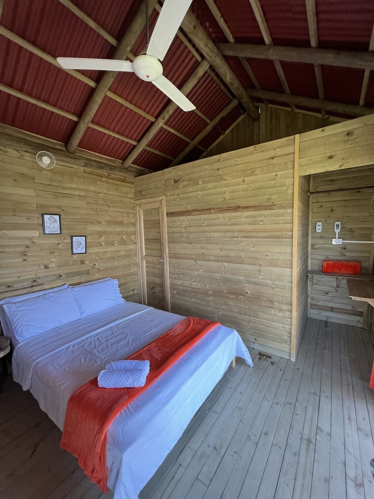 Premium Cabin photo 3