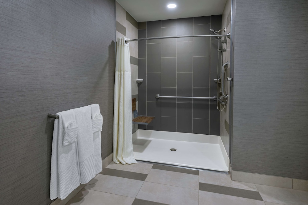 Premium Room, 1 King Bed, Accessible (Roll-In Shower) - Photo 2