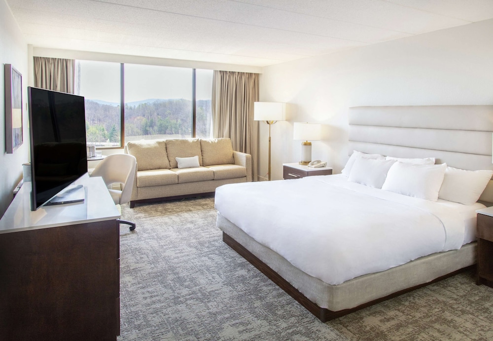 Room, 1 King Bed, Accessible photo 1
