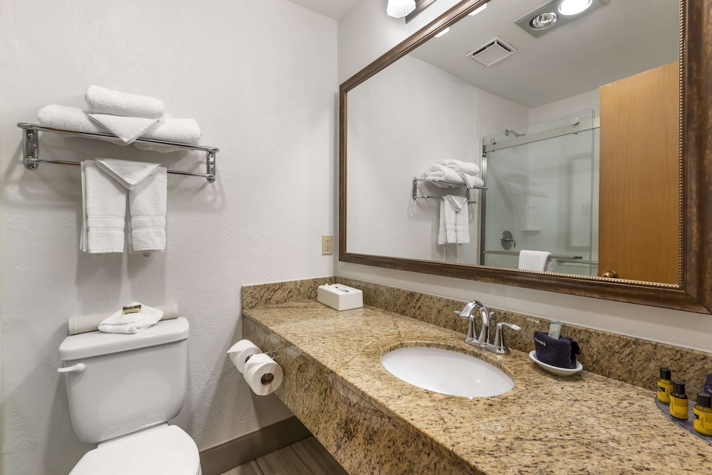 Standard Room, 1 King Bed, Non Smoking, Refrigerator & Microwave (Walk-in Shower;with Sofabed) - Photo 4