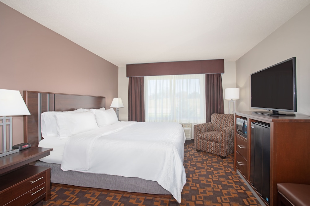 Suite, 1 King Bed with Sofa bed