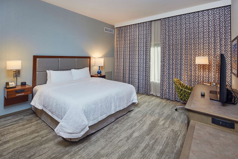 Room, 1 King Bed, Accessible (Mobility & Hearing, Roll-in Shower) photo 2