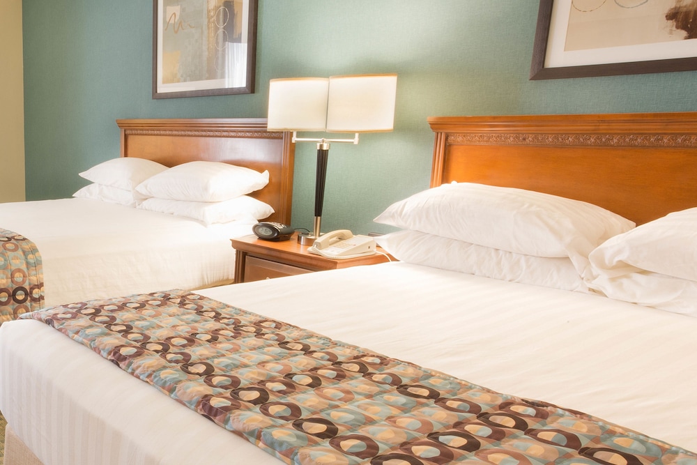 Suite, Multiple Beds, Refrigerator & Microwave (Upper Floor, 2 Rooms, Sofabed) photo 2