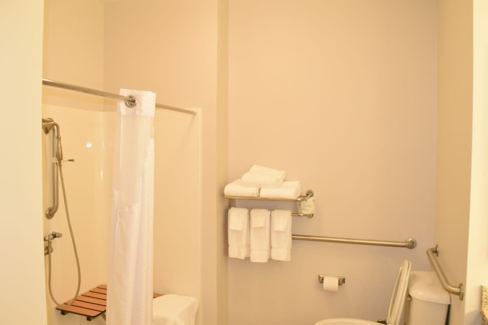 Standard Room, 1 King Bed, Accessible (Communications, Mobil, Roll-In Shower) - Photo 6