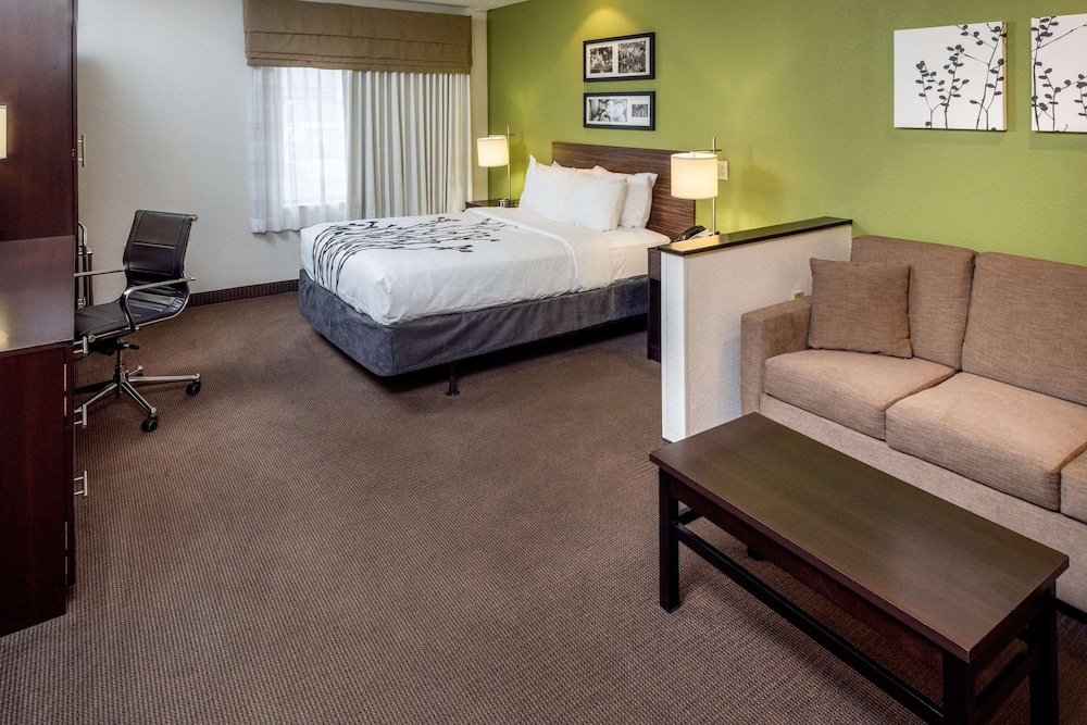 Suite, 1 Queen Bed with Sofa bed, Accessible, Non Smoking - Photo 1