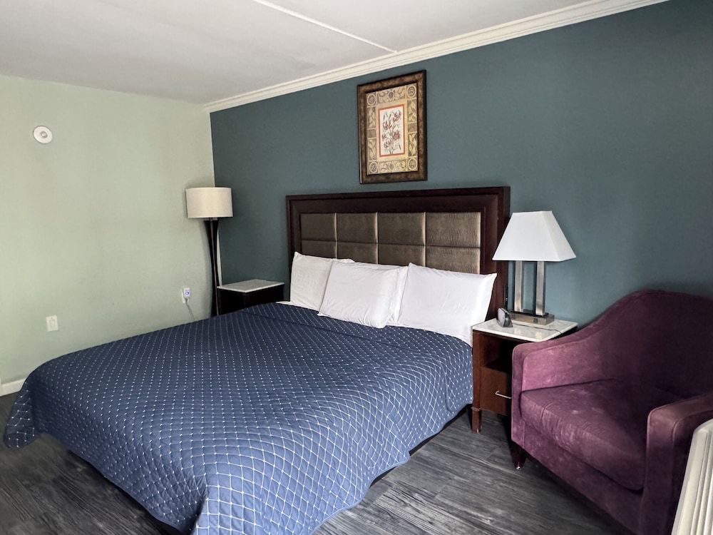 Deluxe Single Room photo 1