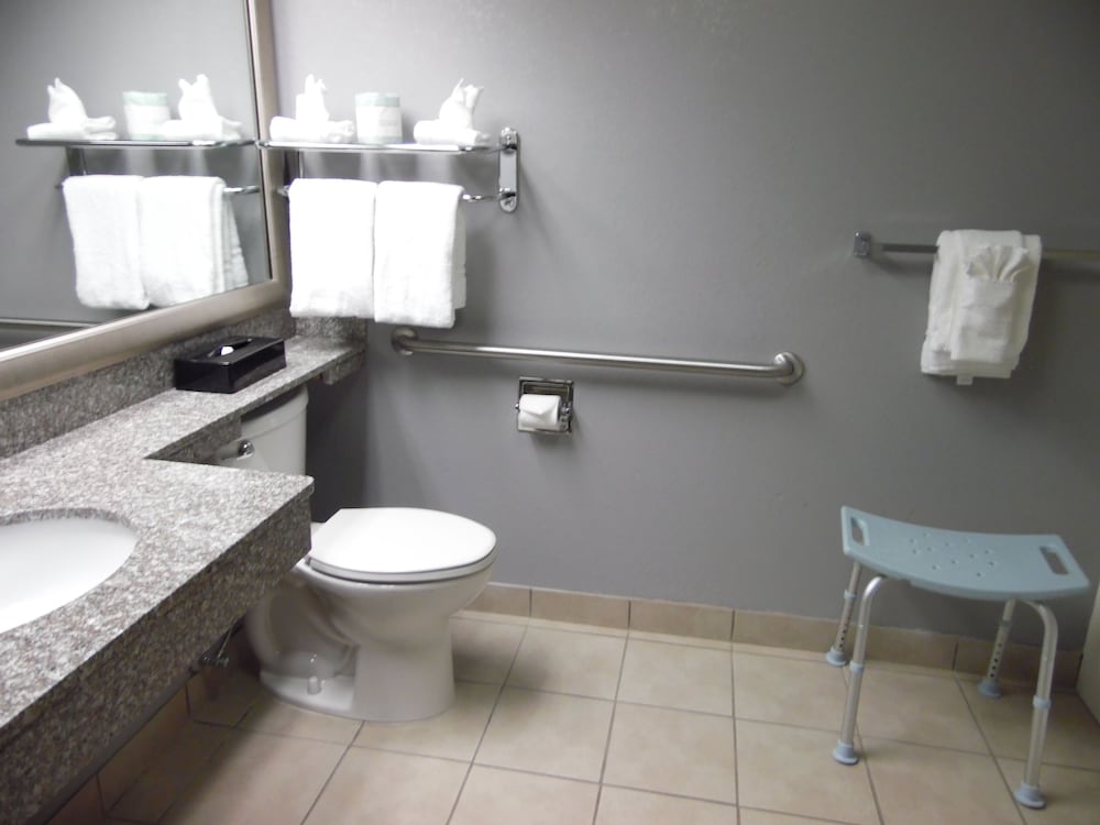 Standard Room, 1 King Bed, Accessible, Non Smoking - Photo 6