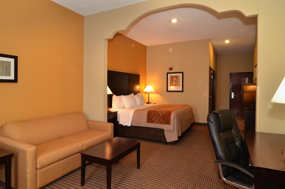 Suite, 1 King Bed, Non Smoking - Photo 1