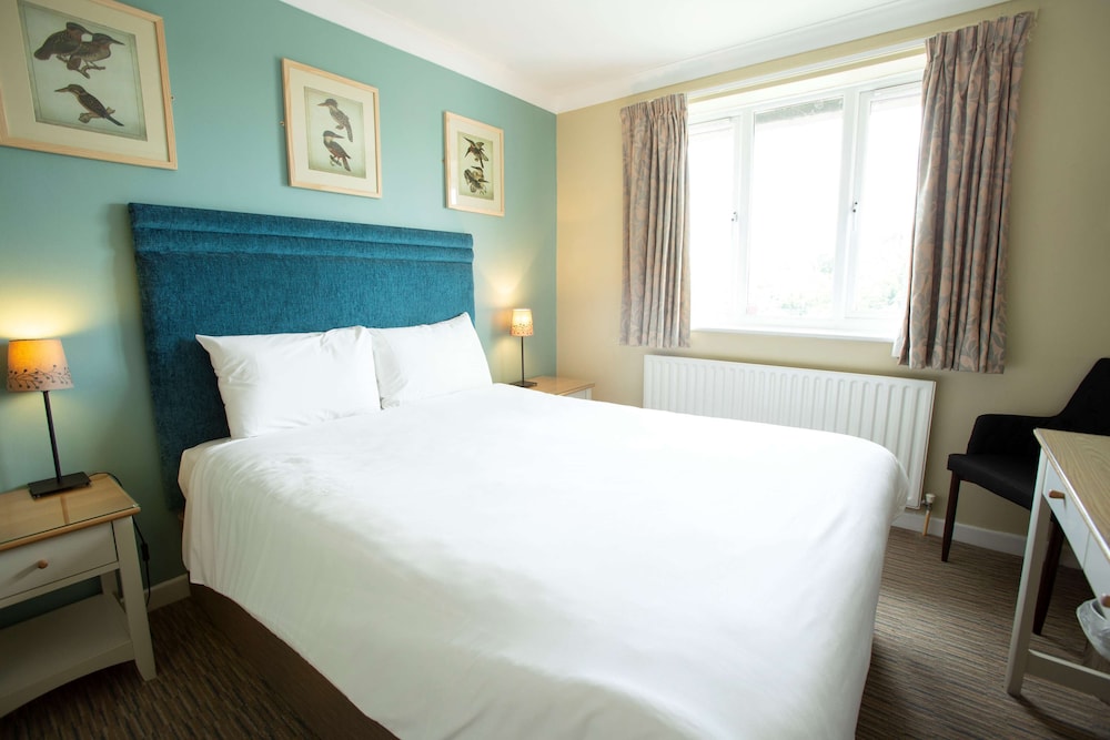 Deluxe Room, 1 King Bed, Non Smoking - Photo 5