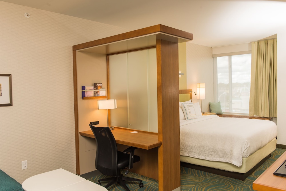 Suite, 1 King Bed with Sofa bed (Mobility/Hearing Accessible, Tub) photo 1