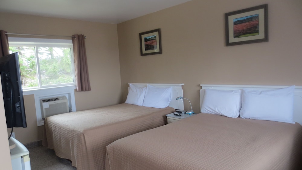 Standard Room, 2 Double Beds, Refrigerator & Microwave