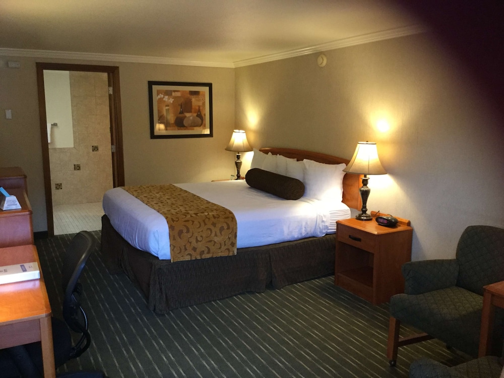 Standard Room, 1 King Bed, Accessible, Non Smoking - Photo 1