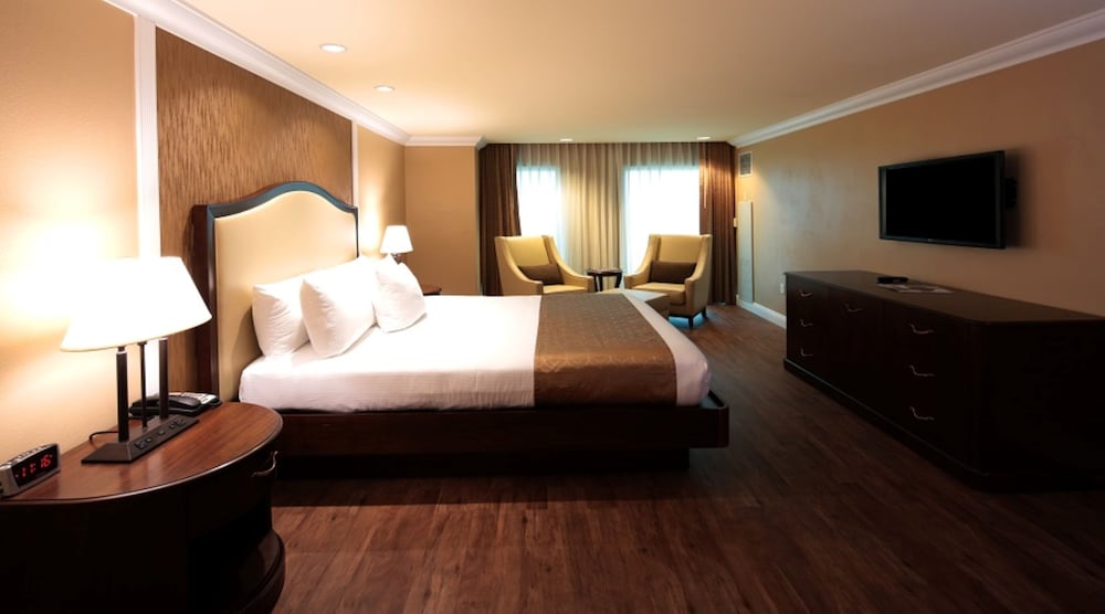 Premium Room, 1 King Bed, Smoking (Premium View) - Photo 4