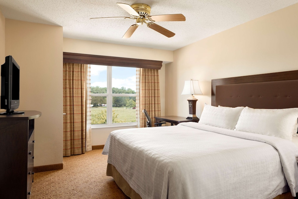Room, 1 King Bed (Homewood) photo 2