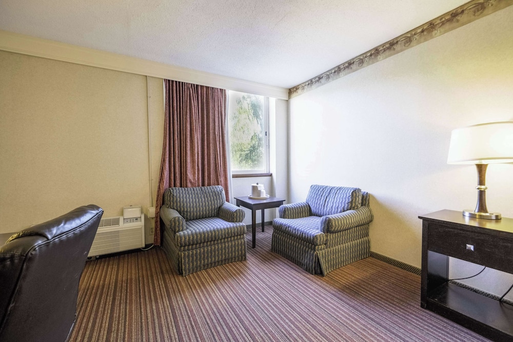 Room, 1 King Bed, Courtyard View - Photo 5