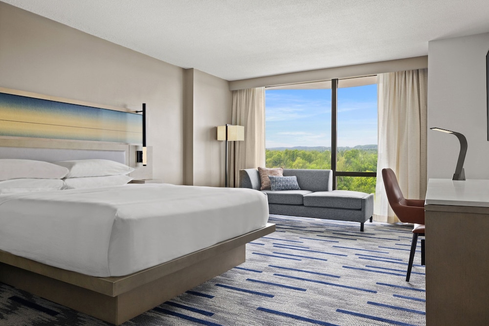 Executive Suite, 1 Bedroom photo 3