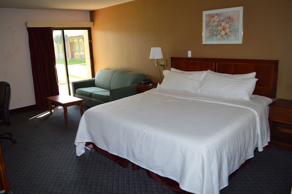 Executive Room, 1 King Bed, Patio, Pool View - Photo 4