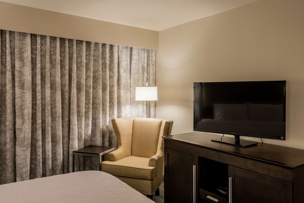 Suite, 1 King Bed with Sofa bed, Kitchen photo 1