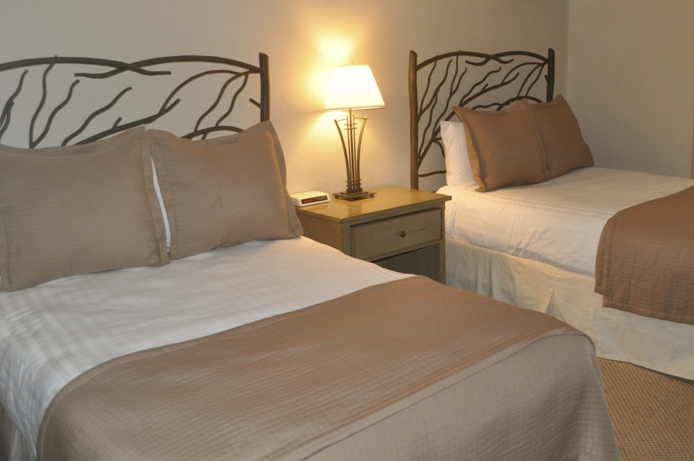 Premier Condo, 4 Bedrooms