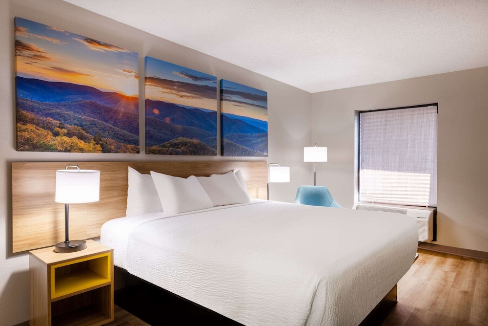 Suite, 1 King Bed, Refrigerator & Microwave photo 1