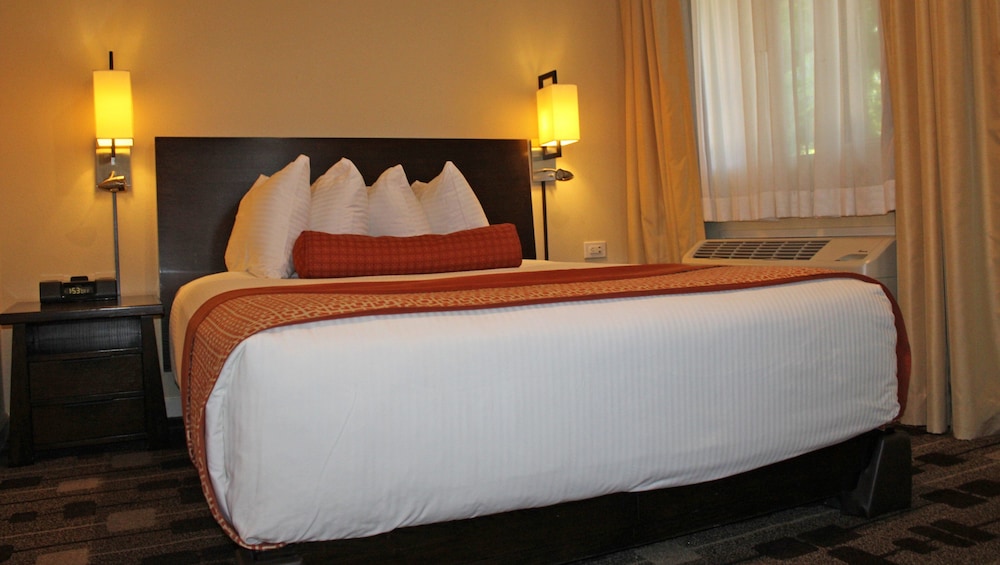 Suite, Non Smoking, Kitchen (3 Queen Beds) - Photo 5