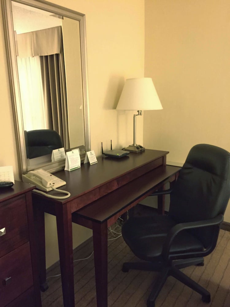 Standard Room, 1 King Bed, Accessible (Mobility, Roll-In Shower)