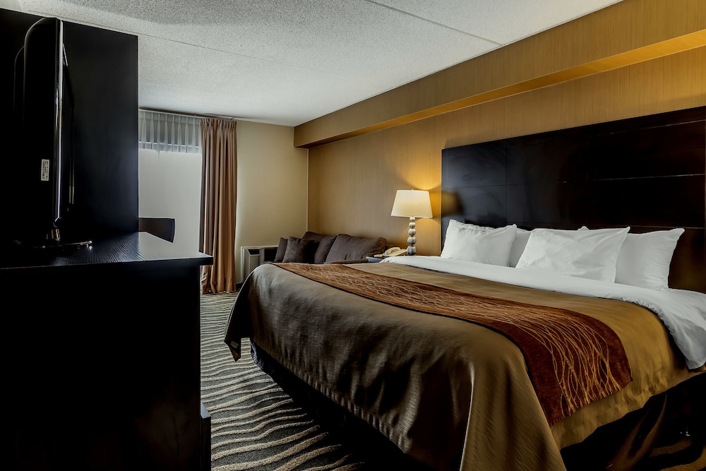 Standard Room, 1 King Bed with Sofa bed, Non Smoking (Dog Friendly) - Photo 4