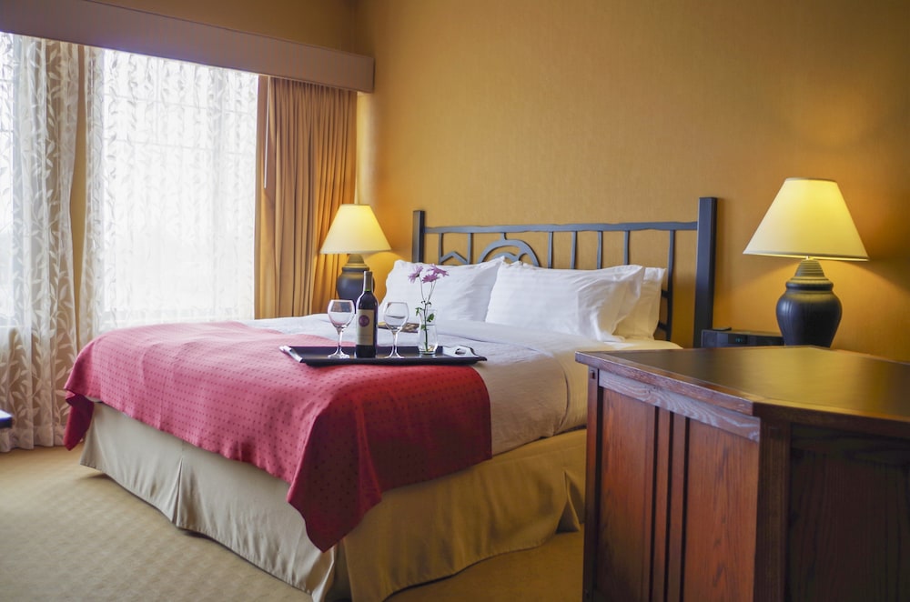 Standard Room, 1 King Bed, Jetted Tub - Photo 1
