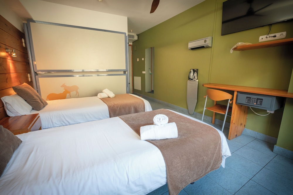 Single Room photo 3