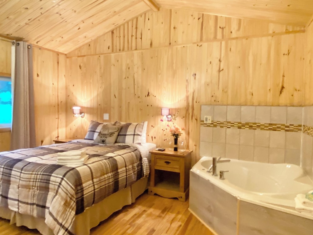 Traditional Cabin, 1 Queen Bed, Hot Tub, Lake View photo 1