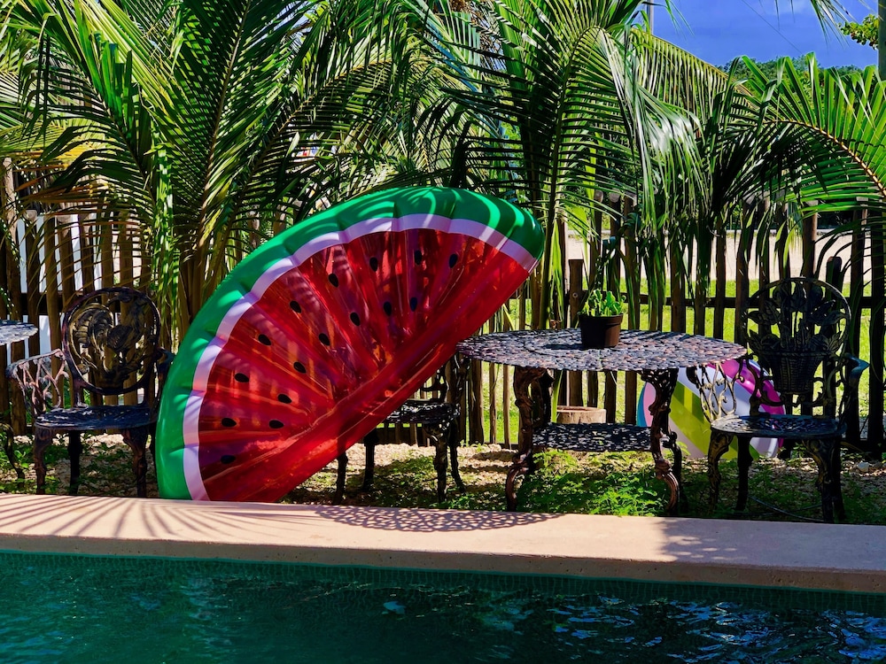 Premium Twin Room, Terrace, Pool View photo 1