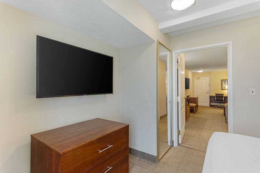 Suite, 1 King Bed with Sofa bed, Non Smoking (2 Person Sofa Bed) - Photo 3
