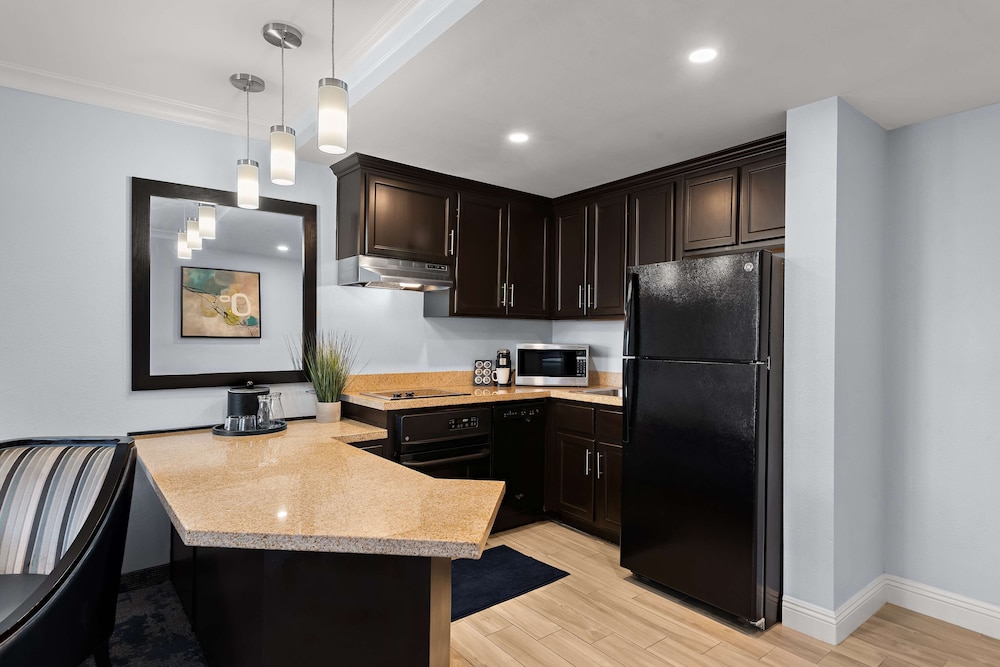 Suite, 1 King Bed, Kitchen, City View (With Sofabed) - Photo 4